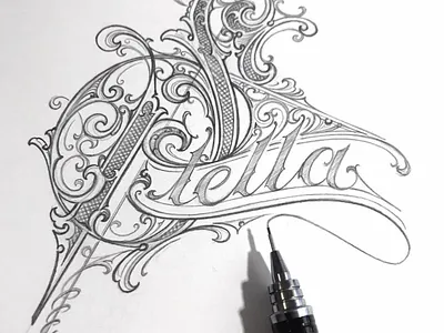 Stella* hand lettering schmetzer sketch stella typography