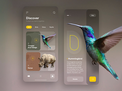 Animal Conservation App animal animals app app ui concept design flat illustraion iran minimal mobile ui ui ui ux ui design uidesign uiux ux ux design uxdesign xd