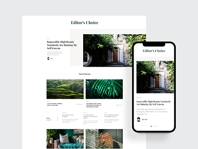 Editor's Choice - Suga Website blog classic clean concept design editorial design magazine minimal typography ui uiux