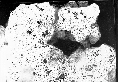 Silver experiments [14] argentic argentique black and white desin experimental farjas felix graphic design photography silver