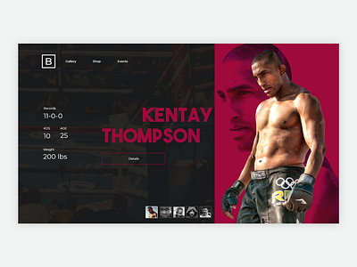 Boxer Profile app application boxers boxing branding design flat profile typography ui webapp website