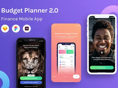 Budget Planner 2.0 Product Image bank branding budget design expenses finance gradient logo minimalism mobile onboarding swipe typography ui vector illustration web