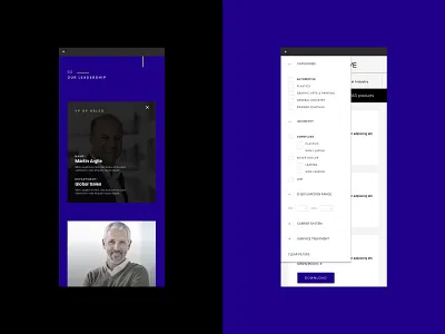 Silberline Website branding interactive ui ux web design