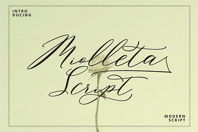 Miolleta Calligraphy Free Font design font font awesome font design free free font free fonts freebies typeface typography