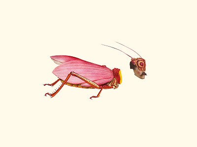 Humansec | collage serie art artcollage collage colors design dribbble illustration illustrator nature photoshop