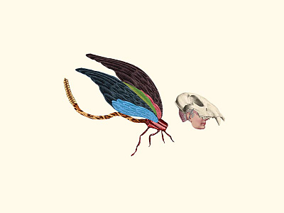 Humansec | collage serie artcollage collage colors design dribbble illustration illustrator minimal nature photoshop