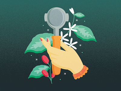 Coffee coffe coffeeshop design flower hand illustration logo plant
