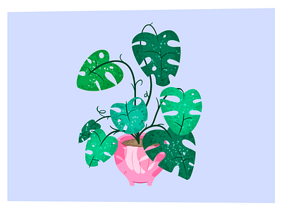 My Monstera green illustration kylebrushes leaves lightblue monstera photoshop plant summer