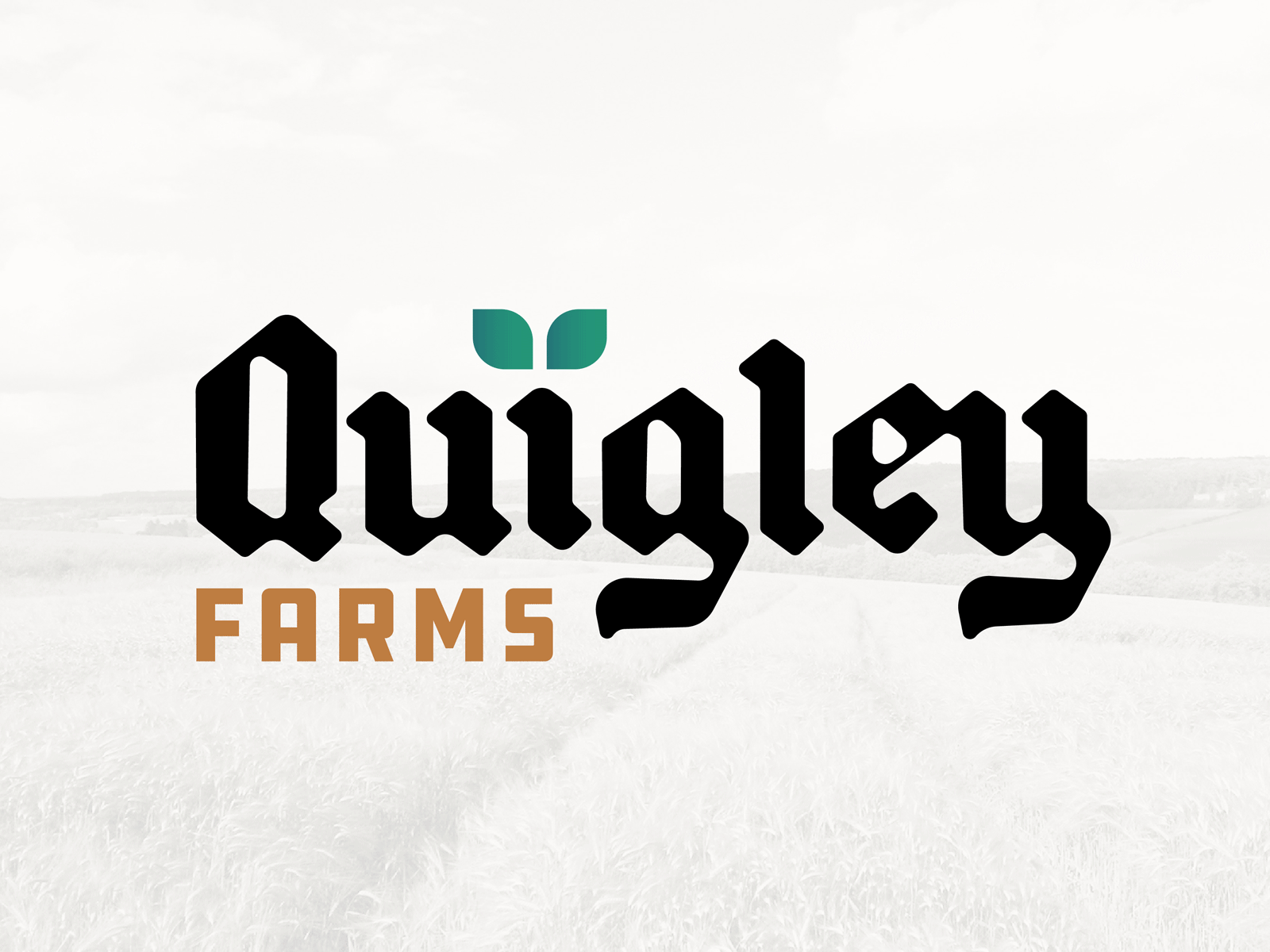 Quigley Farm badge branding chicken farm farmhouse farming fruit gardening identity illustration layout licensing lockup logo mark organic type typography vegetable weathervane