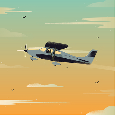 Fast Flight birds clouds flight flying gradient grain texture grains nature wings