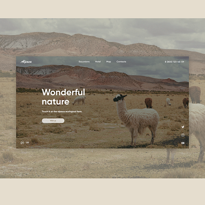 Alpaca farm concept alpaca concept design ecological ecology excursion lama mountains natural nature travel ui ux web website