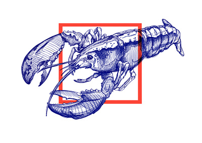 Lobster Drawing (study) 2d 2d art animal art brand branding branding design drawing illustration lobster sketching study trend trend 2019 trending