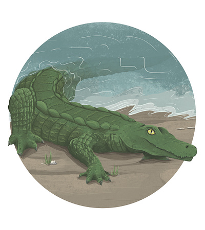 cocodrile amazon amazon river animal animals art charactedesign children art children book illustration cocodrile design fauna illustration nature reptile