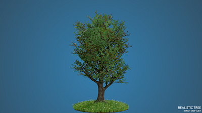 Realistic Tree made with Blender 2.8 3d 3dmodelling 3dscene b3d blender3d blender3dart nature environment nature illustration