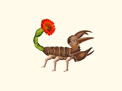 Humansec | collage serie art artcollage collage colors design dribbble illustration minimal nature photoshop