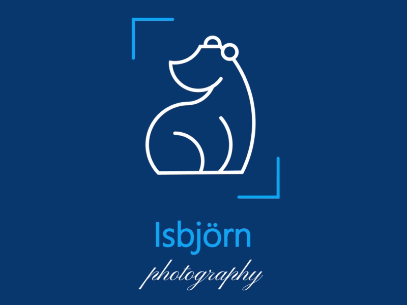 Logo animation story aftereffects animation bear blue character animation characterdesign confidence flash illustrator logo motion motion graphic photography photography logo walking