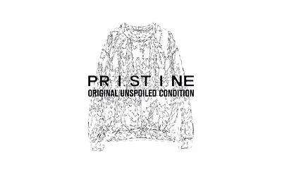 PRISTINE - OUC brand branding clothes condition design edition hoodie illustration kosovo original pleuratbytyqi pristine typography unspoiled wear zyreinternational