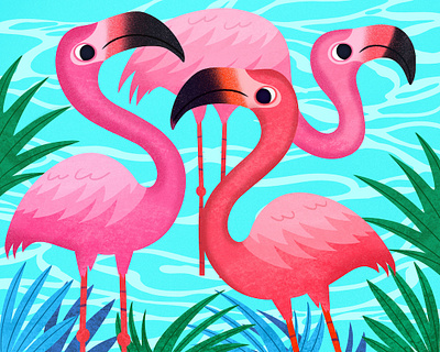 Flamingos © Nicole Wilson 2019. animals childrens books digital art editorial editorial illustration graphic art illustration illustrator kid lit nicole wilson