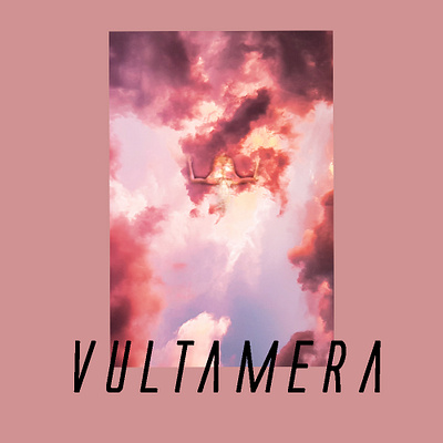 Vultamera