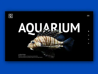 Aquarium dark ui darkmode fish ui userinterface webdesign