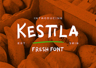 Kestila app branding design fonts logo type typeface typography ui ux