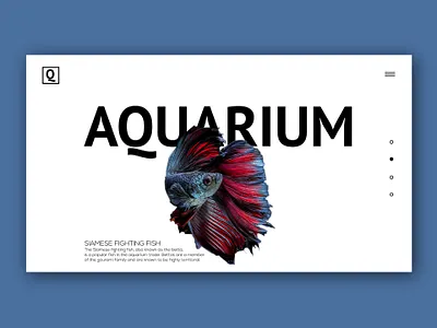 Aquarium version 2.0 aquarium aquatic fish graphics lightmode ui website