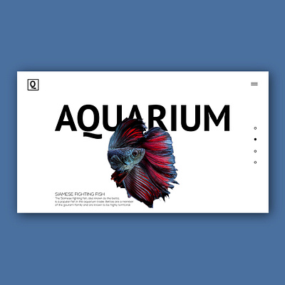 Aquarium version 2.0 aquarium aquatic fish graphics lightmode ui website