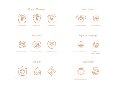 Monkeys Series Pt 4 figma icon iconography illustration