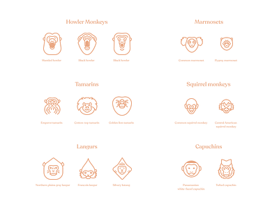 Monkeys Series Pt 4 figma icon iconography illustration