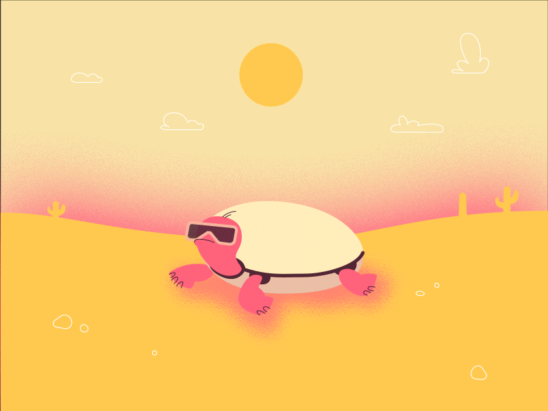 Turtle suhaib @motiondesign motion motiondesignschool