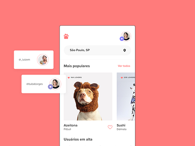 Petlovers - Make a difference, adopt. adobexd adopt animal applicaiton design layout pets pink ui ui design uiux xd