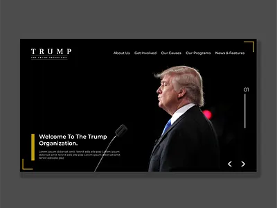 Trump Re-election election trump ui uidesign webdesign