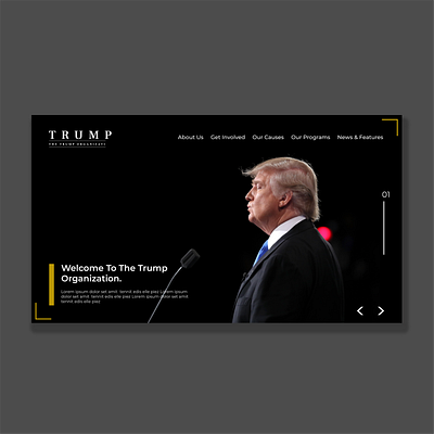 Trump Re-election election trump ui uidesign webdesign