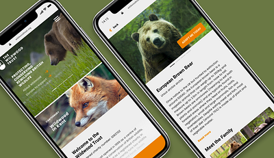 The Wildwood Trust Mobile Site Concept brand brand identity branding branding design charity design design system logo mobile ui mobileui rebrand revamp ui uidesign ux uxdesign uxui web website wildlife