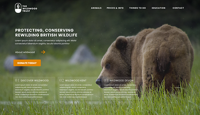 The Wildwood Trust Desktop Concept branding charity design designs logo logodesign mobile ui redesign revamp ui ux uxdesign web website websitedesign wildlife