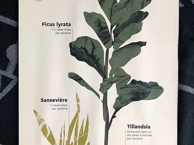 House Plants Watering Reminder cogito panobook poster print sketch woodland