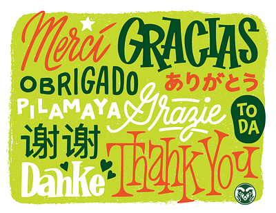 CSU Thank You Card card design graphic design handlettering print design
