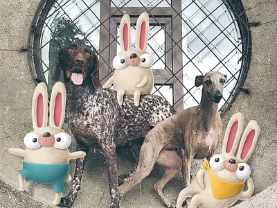 Instagram for my dogs :) cartoon character design dogs doodle drawing funny animals illustration