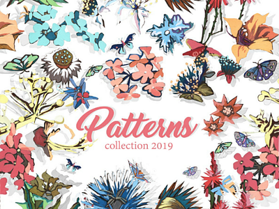 Pattern collection 2018-2019 iillustration art pattern