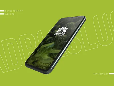 Adriaslug | Brand and Web identity biology brand identity branding green iphone logo logo design marine marine biology mockup nudibranch sea slug snail