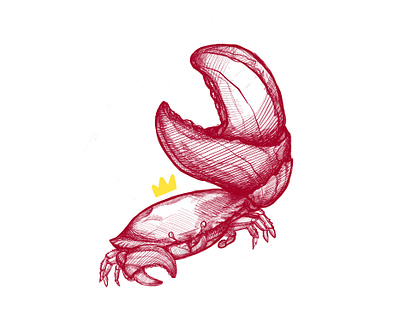 Crab Drawing 2d 2d art animal brand design designer drawing illustration ipad pro king procreateapp trend 2019 trending