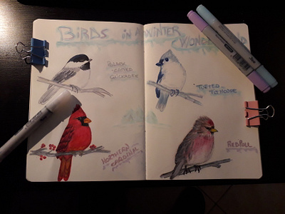 Winter Birds birds colored pencils copic markers copics illustration sketches winter birds