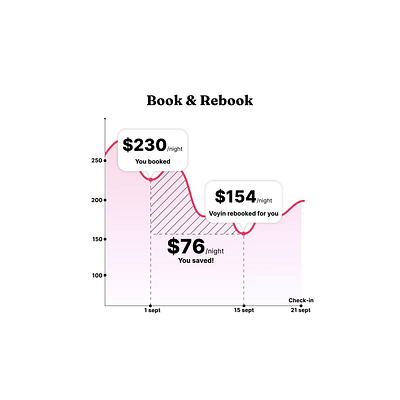 Lottie Infographic Animation for Vojin.com animation branding design dribbble graphic design illustration infographic animation infographics lottie motion graphics motiondesign ui ui aniamtion