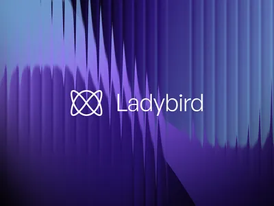 Ladybird branding browser digital campaign digital experience social media