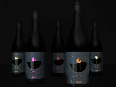 Gravity Well balloon beer black boozy bottles constellation gold illustration keg label metallic minneapolis packaging stout wax