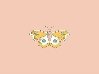 Moth Illustration 70s brand design branding camp brand camping campy illustration illustration digital moth pink vintage