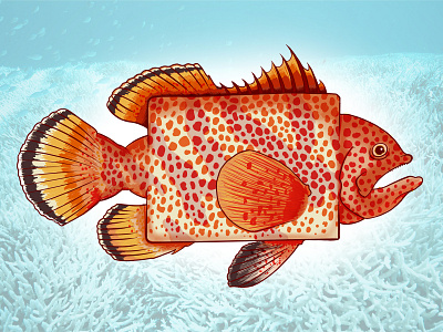 Square Grouper aquatic digital illustration fine art illustration