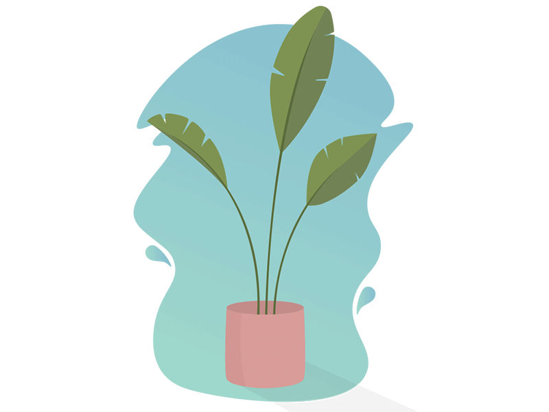 a gentle breeze animation banana botanical breeze illustration plant tree wind