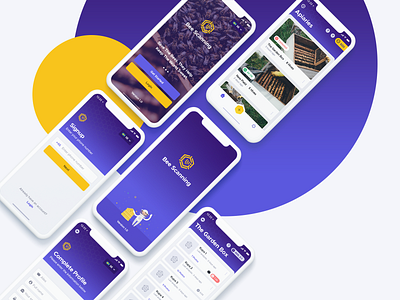 BeeScanning app appdesign bee beescanning card honey ios mobile app ui ux