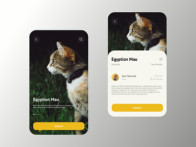 Pets Adoption animal app applicaiton application cat colorful minimal mobile mobile app pets ui uiux